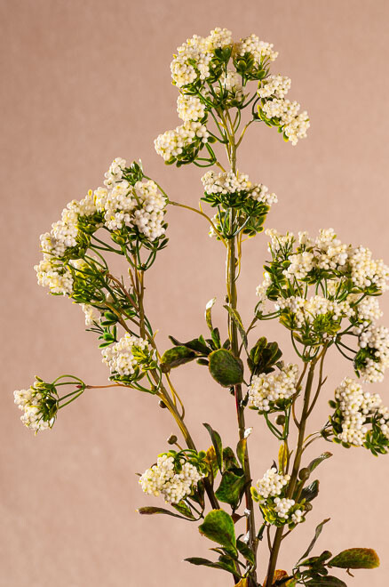 Mini flowers 80 cm bílé