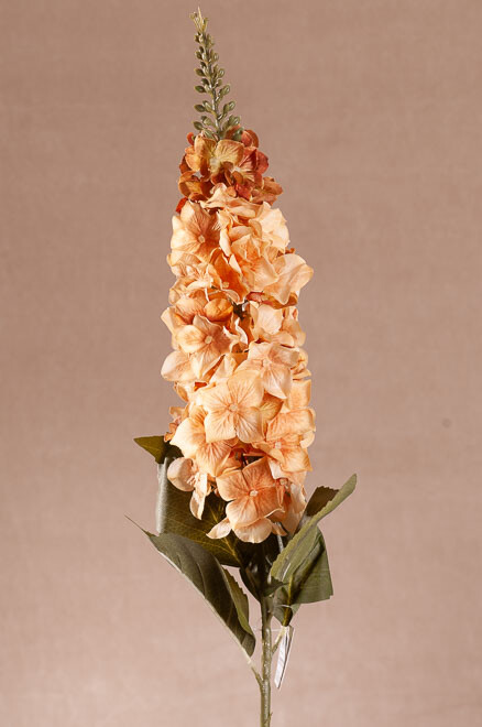 Delphinium žlutá 95 cm