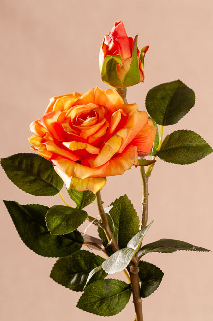 Růže oranžová 48 cm