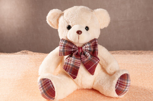 Medvídek 25 cm