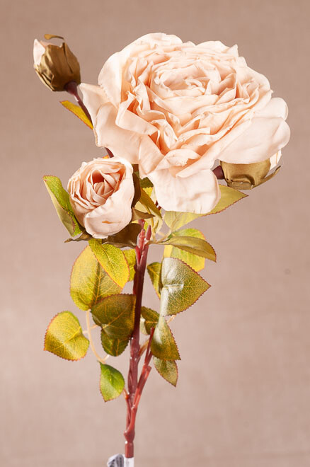 Podzimní růže béžová 65 cm