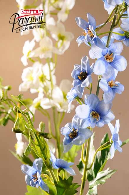 Delphinium 80 cm