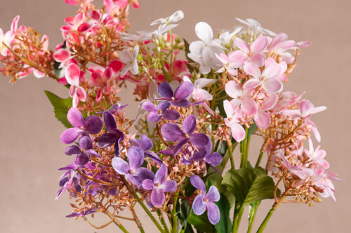 Wild Hydrangea 62 cm