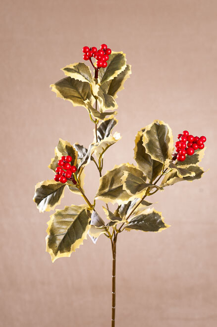 Cesmína 54 cm žlutozelené listy