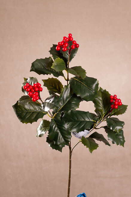 Cesmína 54 cm zelené listy